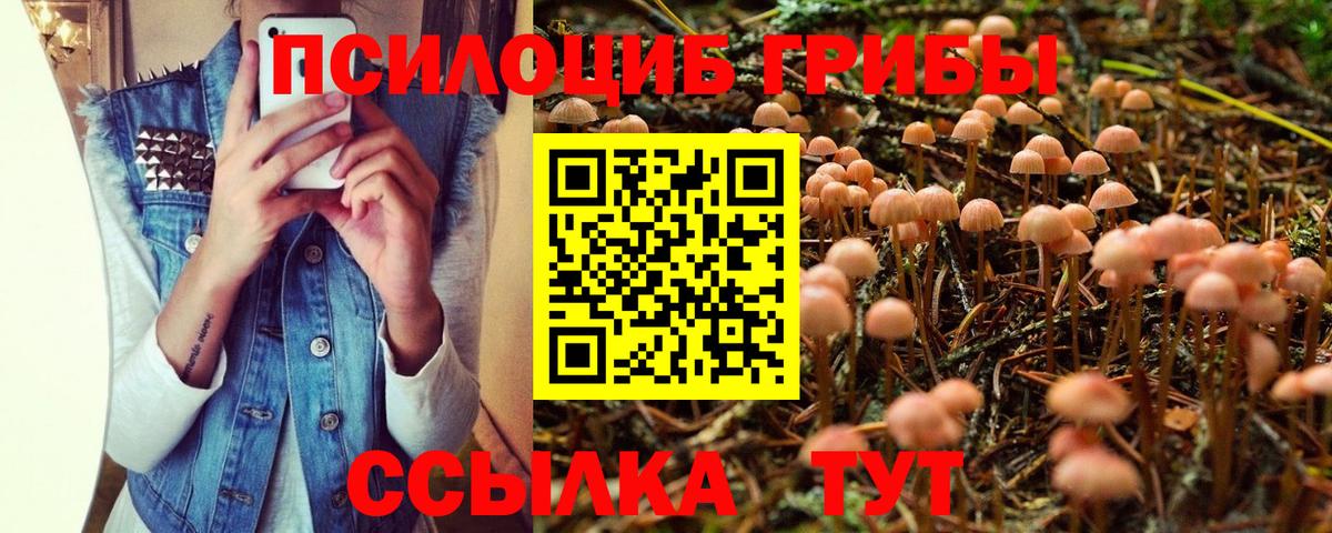 Галлюциногенные грибы мицелий Чита