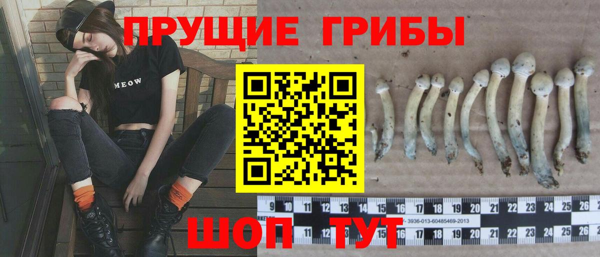 Чита  Галлюциногенные грибы Magic Shrooms  Вход с VPN  Псилоцибиновые грибы GOLDEN TEACHER 