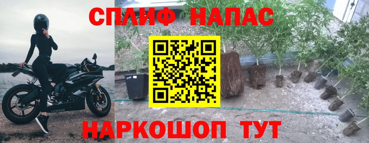 Марихуана SATIVA & INDICA  Вход с VPN  Чита  Марихуана SATIVA & INDICA  Канабис Amnesia 